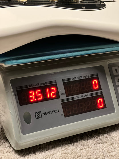 Fender Player II Stratocaster with RW FB in Polar White MXS24030919