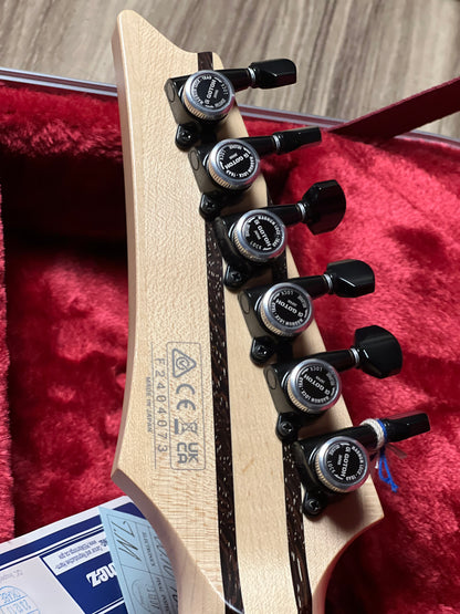 Ibanez RGD3121 w/Case in Polar Lights Flat F2404073