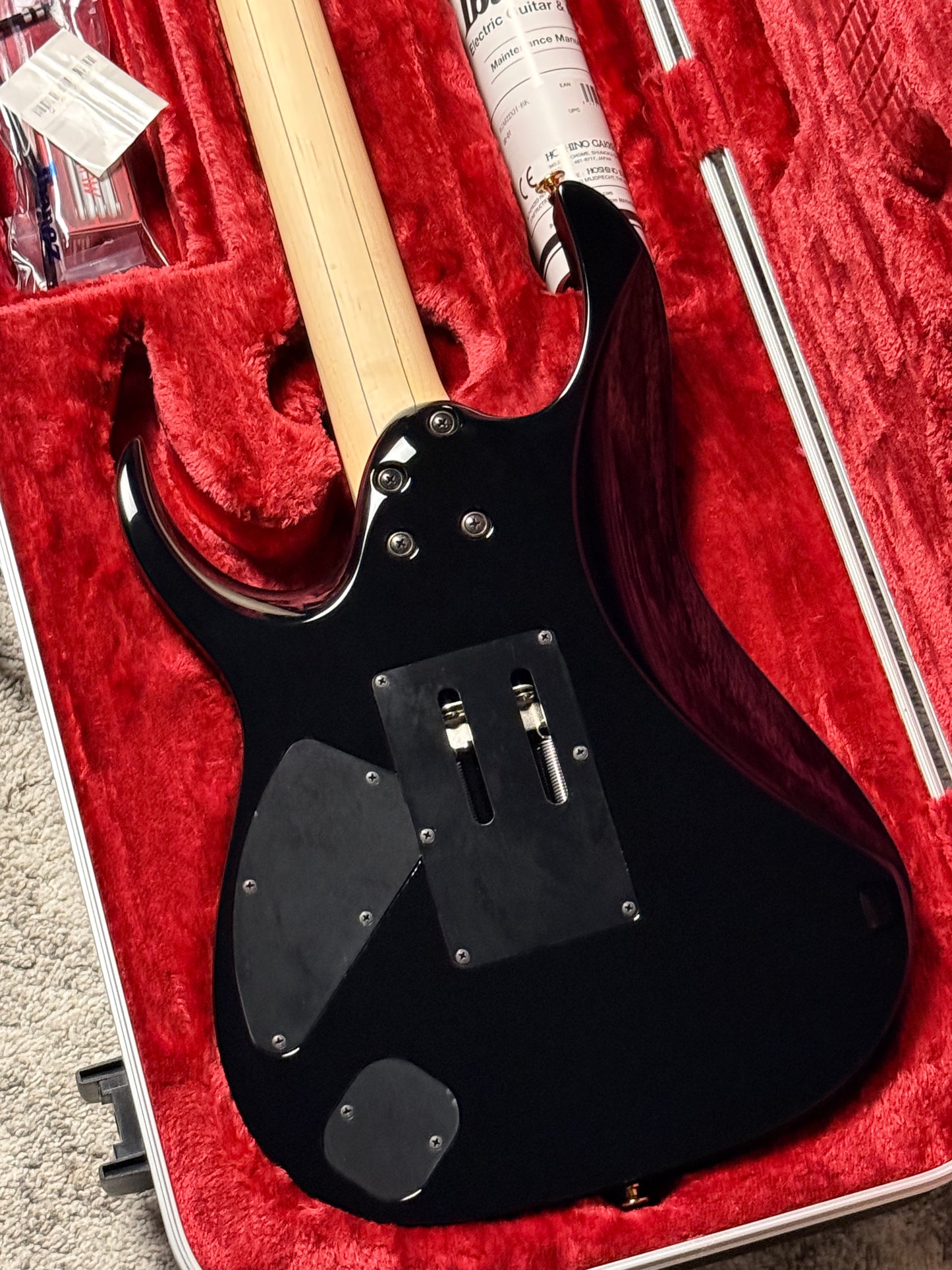 Ibanez Axion Label RGA622XH with Case in Black F2524390