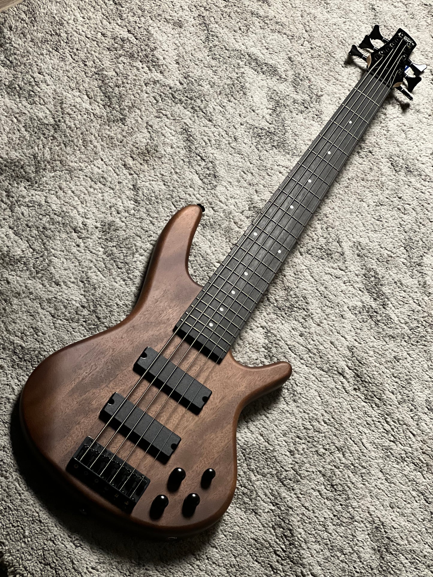 Ibanez GSR206B-WNF 6-String Bass Guitar in Walnut Flat