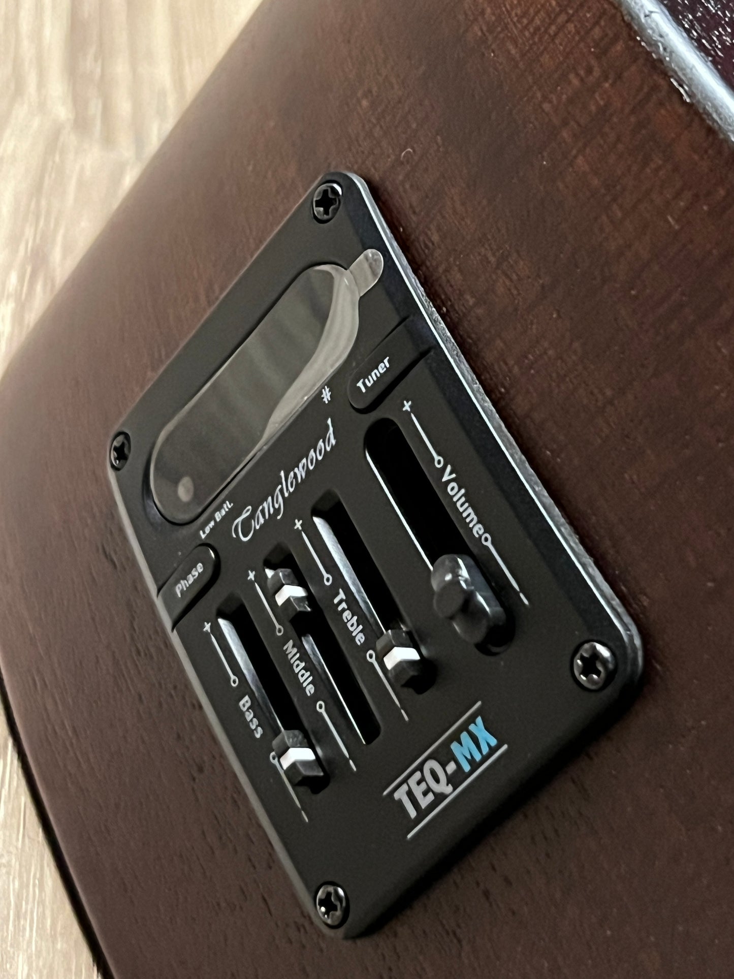 Tanglewood Crossroads TWCR-DE Dreadnought w/Bag