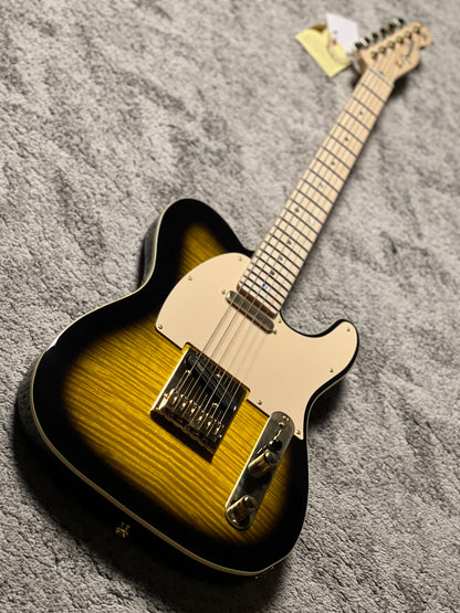 Fender Artist Richie Kotzen Telecaster with Maple Neck in Brown Sunburst JD24016697
