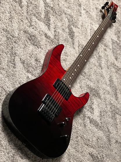 Schecter C-1 Standard in Blood Burst