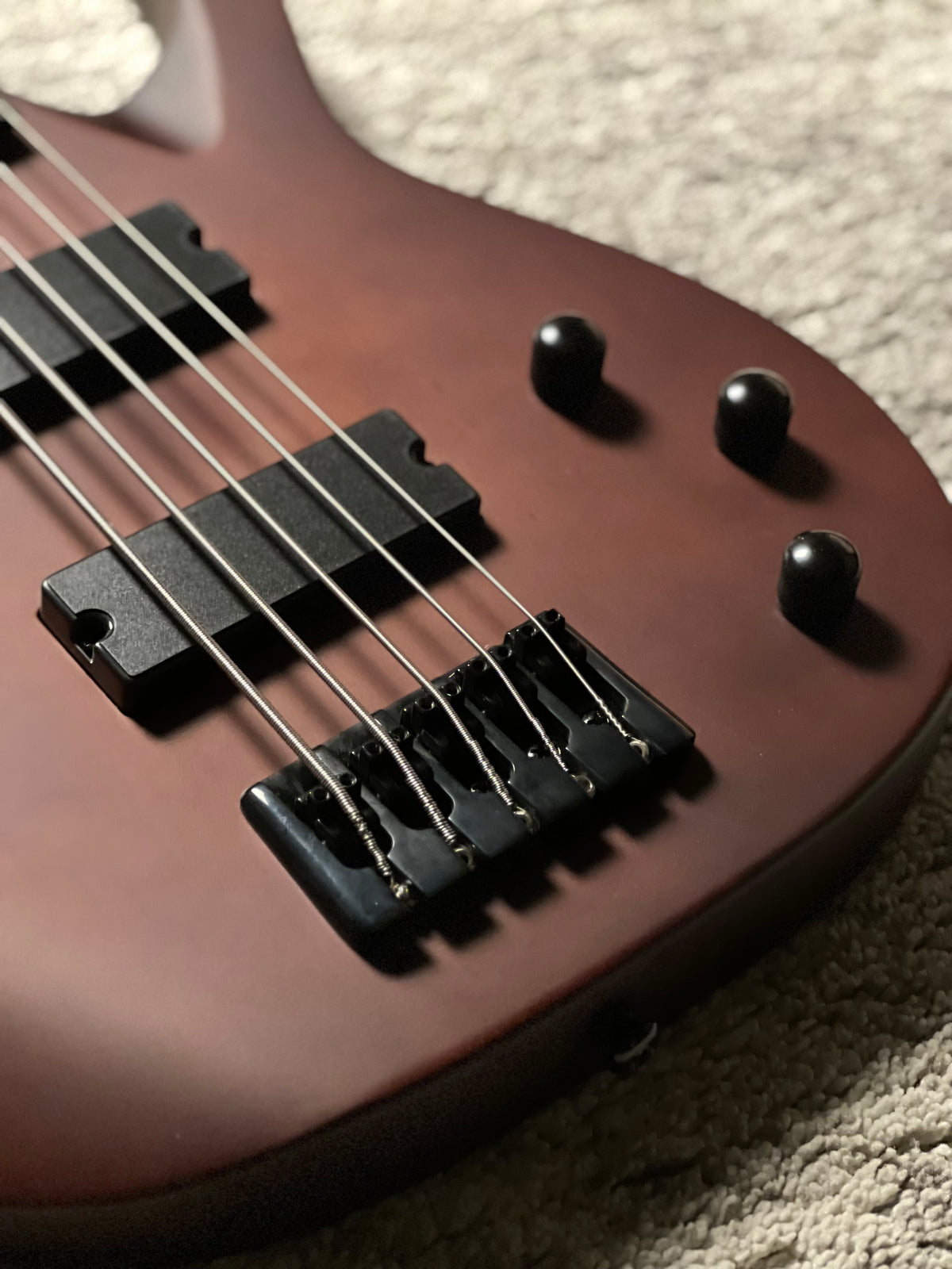 Solar AB4.5DN-E 5 String Bass in Dark Natural