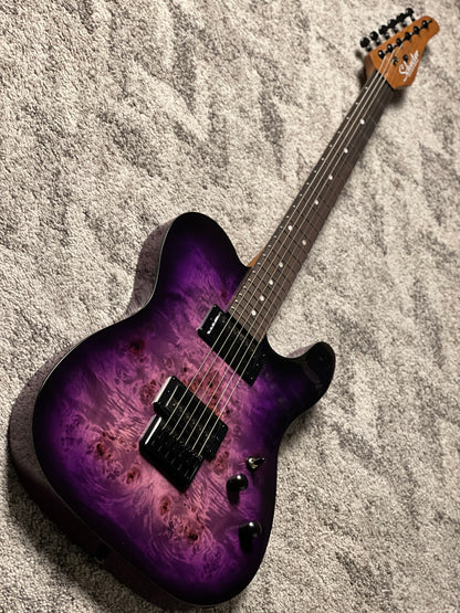 Schecter PT Standard in Black Purple Burst Burl