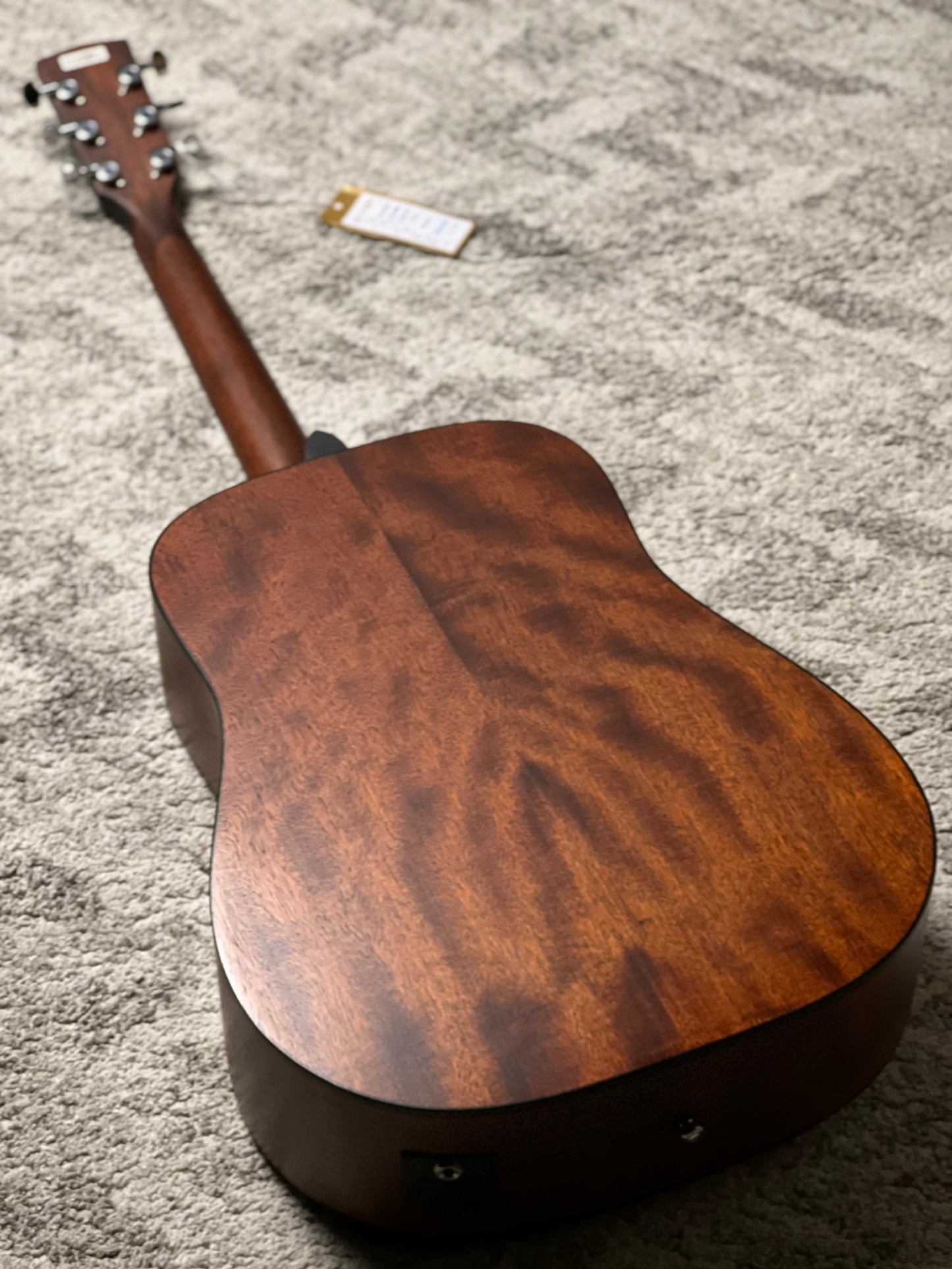 CORT AD810E OP Electric Acoustic in Open Pore Natural