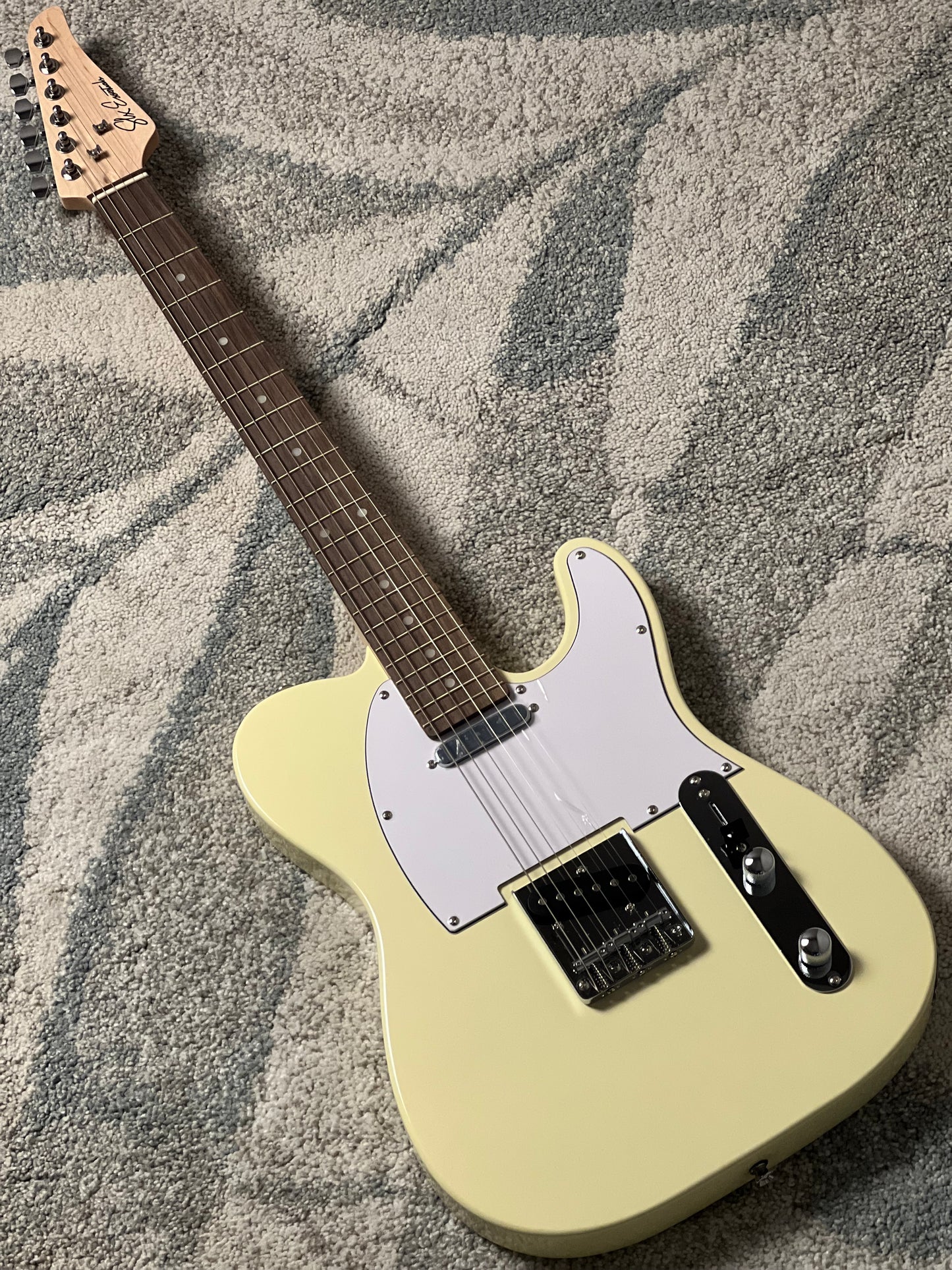 SLX Raven Classic Essentials 22 with Rosewood FB in Vintage White