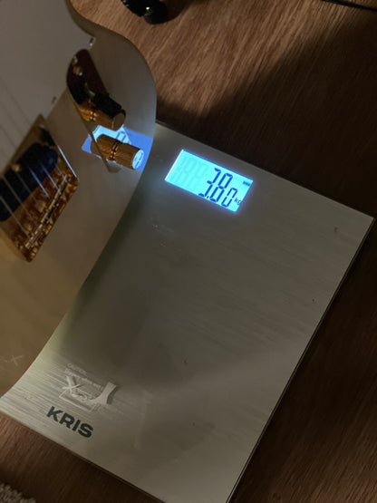 Tokai Japan ATE-102G/R Breezysound Japan in See Thru White with Gold Hardware 231338