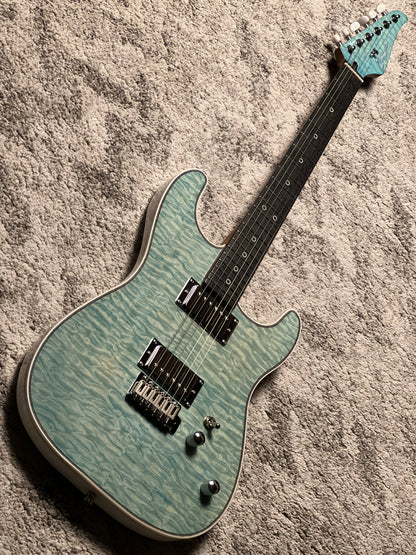 Dhatarattha Custom DST HH Quilt in Mint Green with Rosewood FB