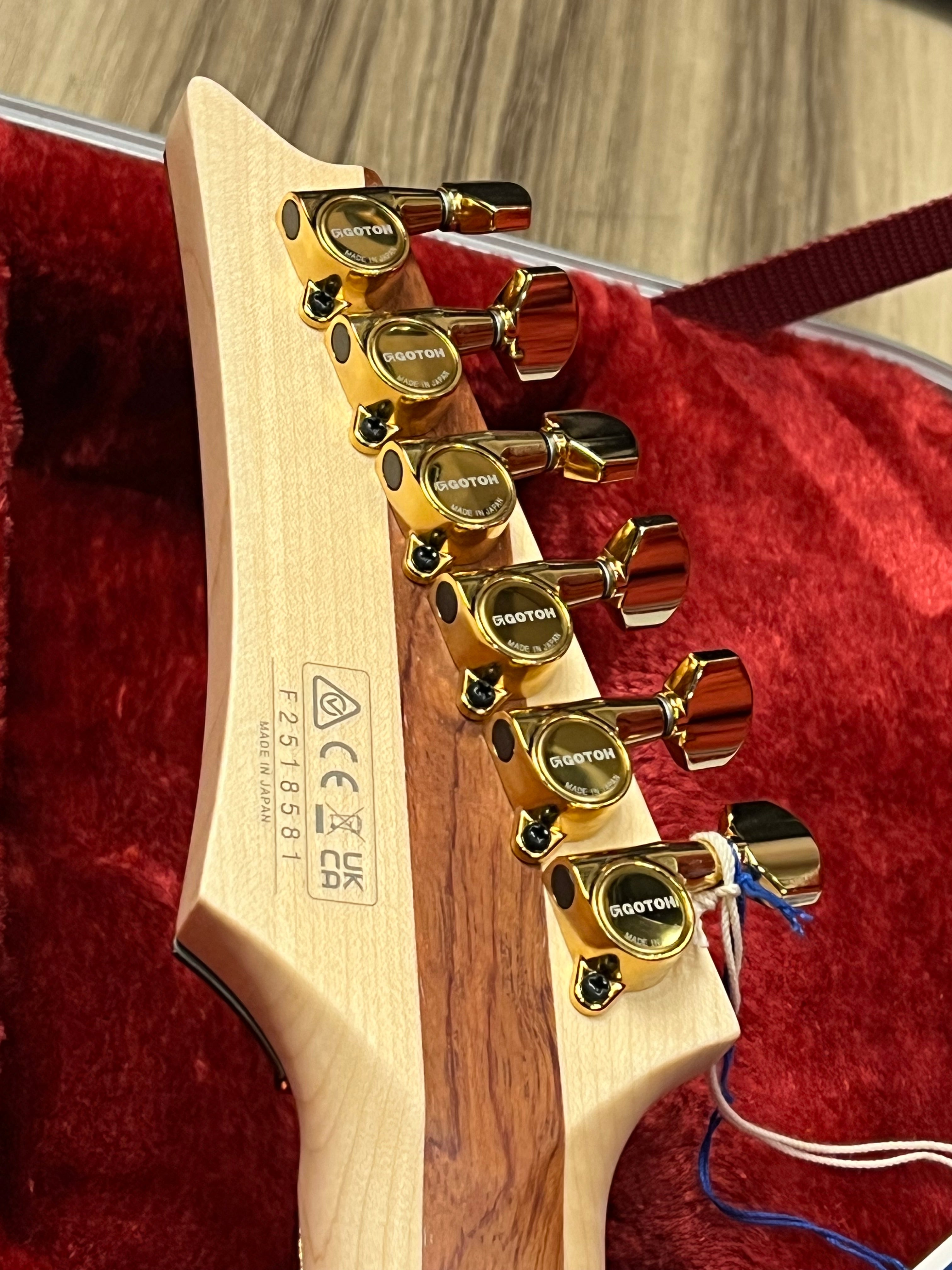 Ibanez JS1GD Joe Satriani Signature in Gold Boy with Case Limited