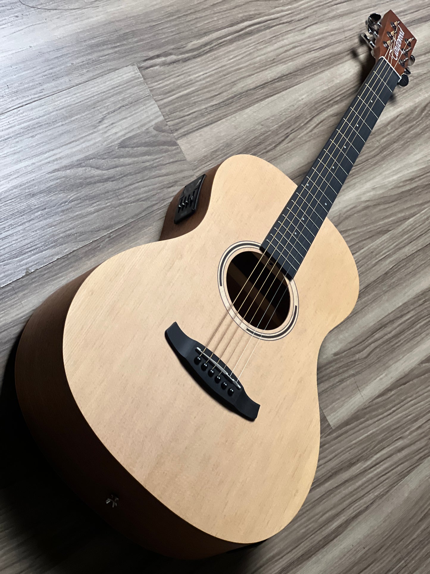 Tanglewood TR8E Parlour Size in Natural Open Pore Finish w/Bag