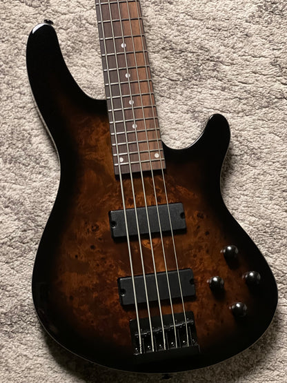 Schecter C-5 Standard 5-string in Tobacco Burl