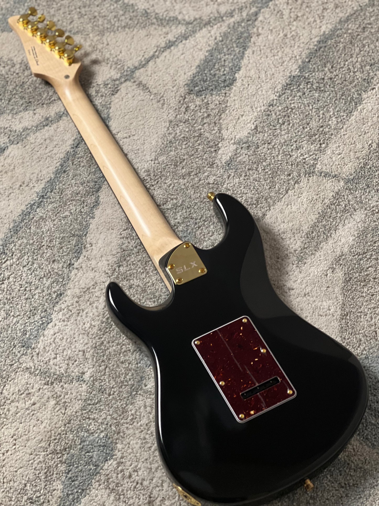 SLX X Dhatarattha Custom DST in High Gloss Black with Rosewood FB