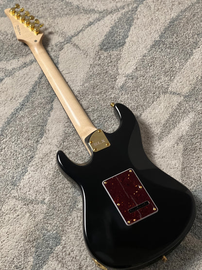 SLX X Dhatarattha Custom DST in High Gloss Black with Rosewood FB