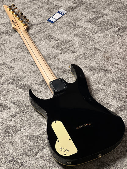 Ibanez PGM50 Paul Gilbert Signature Electric Guitar in Black 240310732