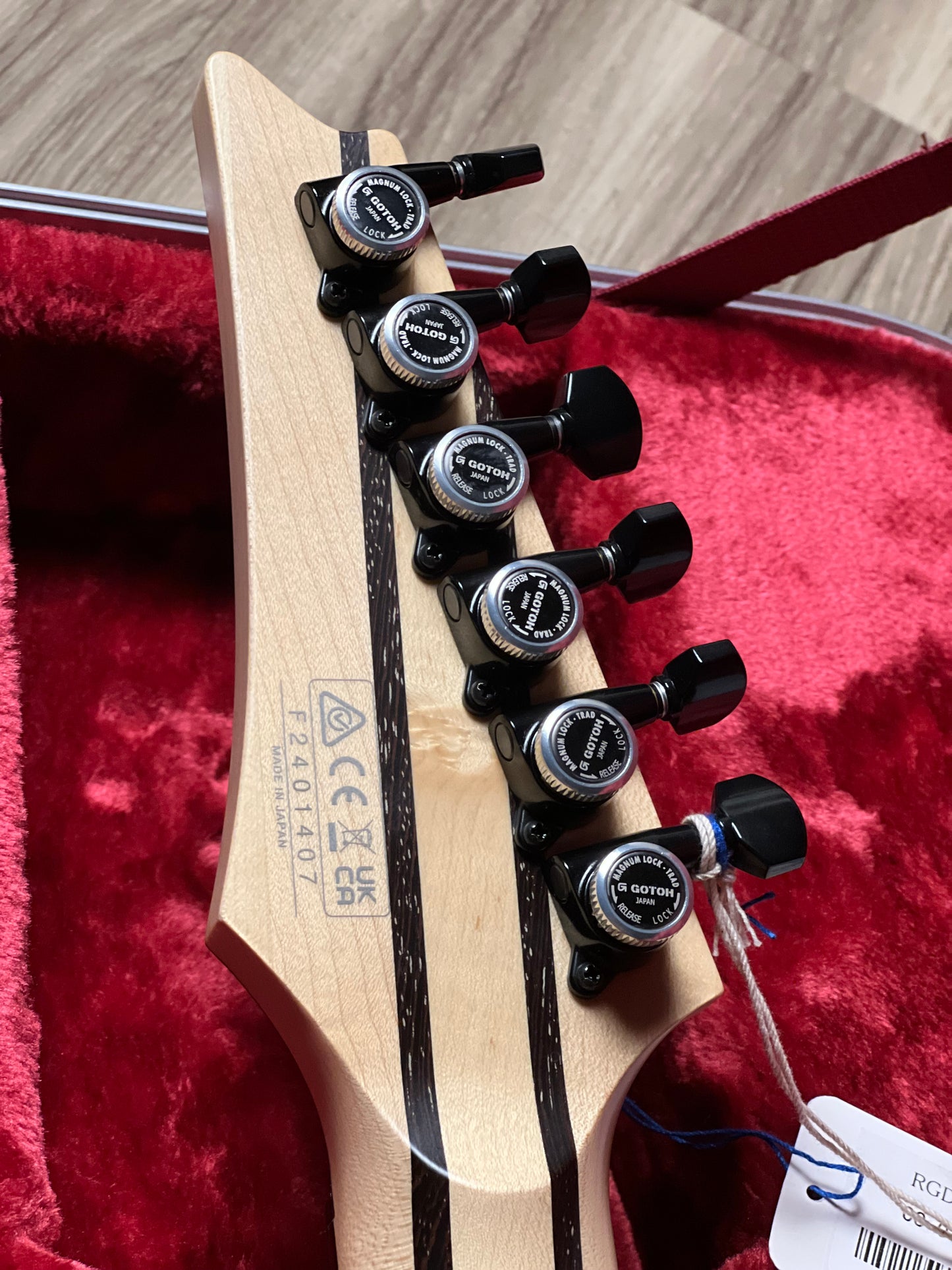 Ibanez RGD3121 w/Case in Polar Lights Flat F2401407