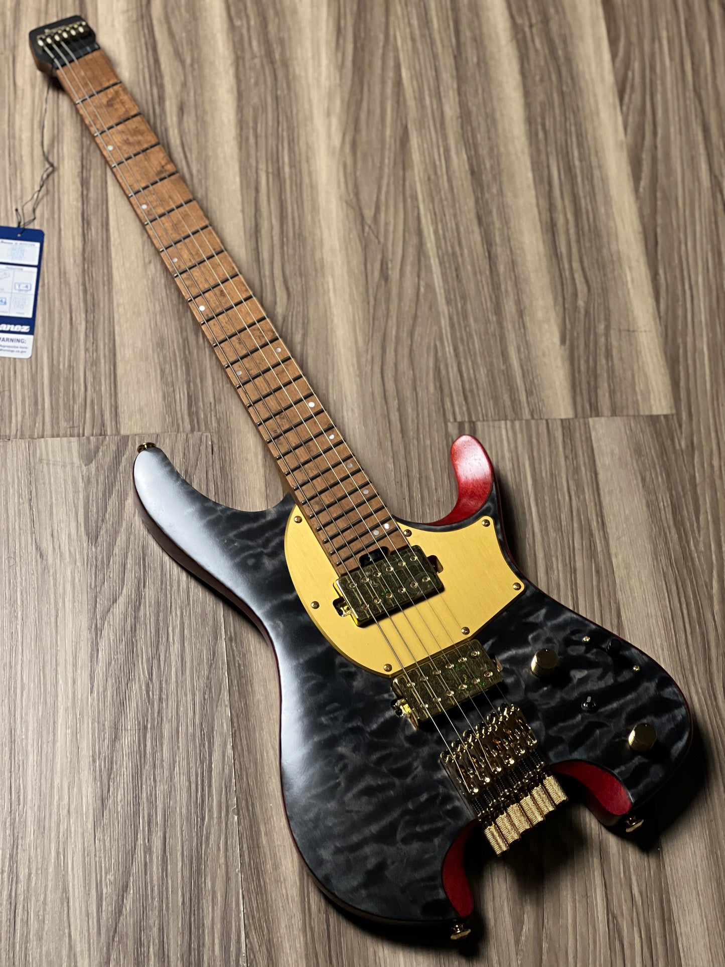 Ibanez MGFM10-OBL Manuel Gardner Fernandes Signature w/Bag in Obsidian Black Low Gloss 241213652