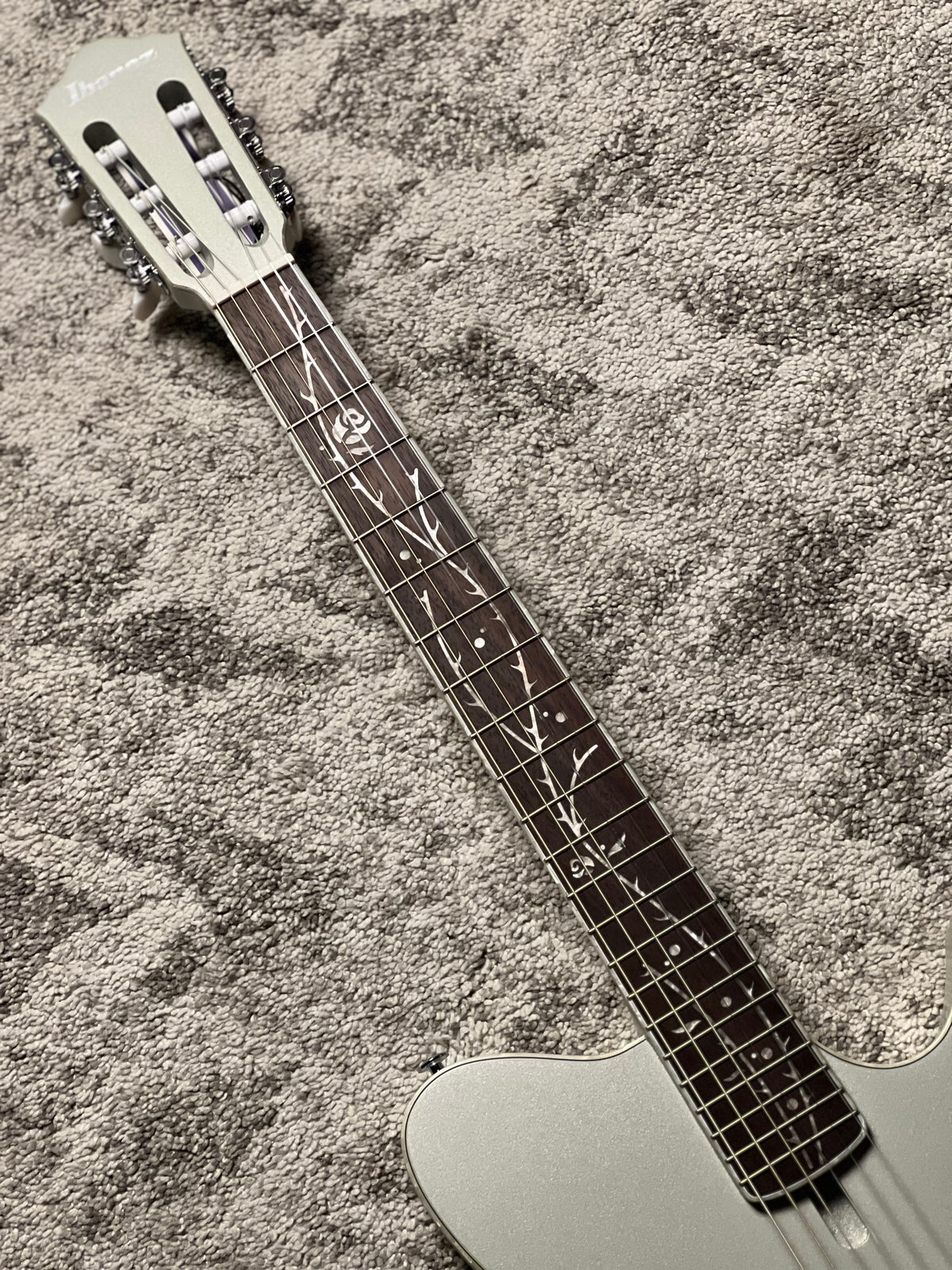 Ibanez TOD10N-SMF Tim Henson Signature Nylon String in Silver Metallic Flat
