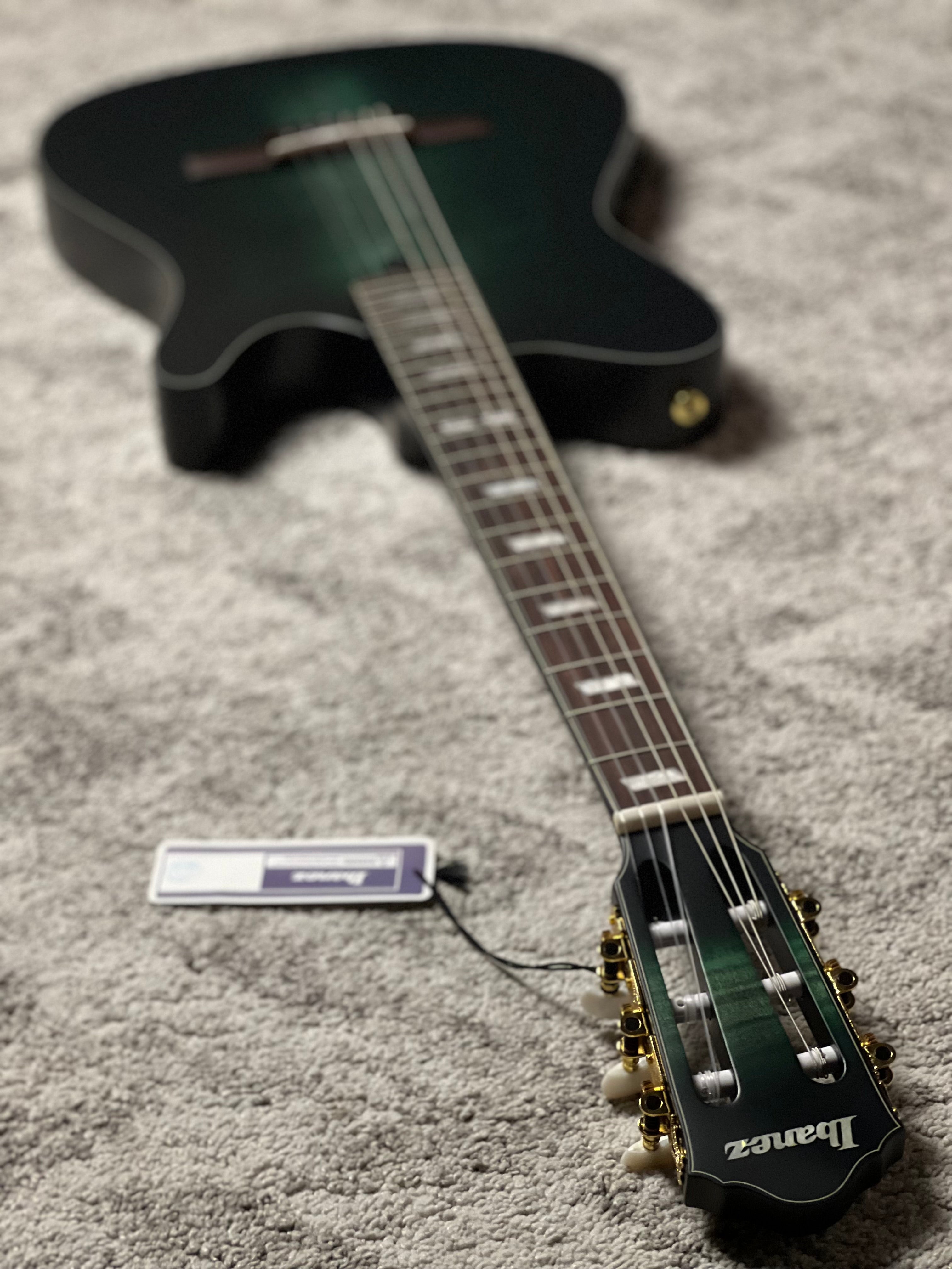 Ibanez FRH20FMN-DGL Acoustic Electric in Deep Emerald Green Low