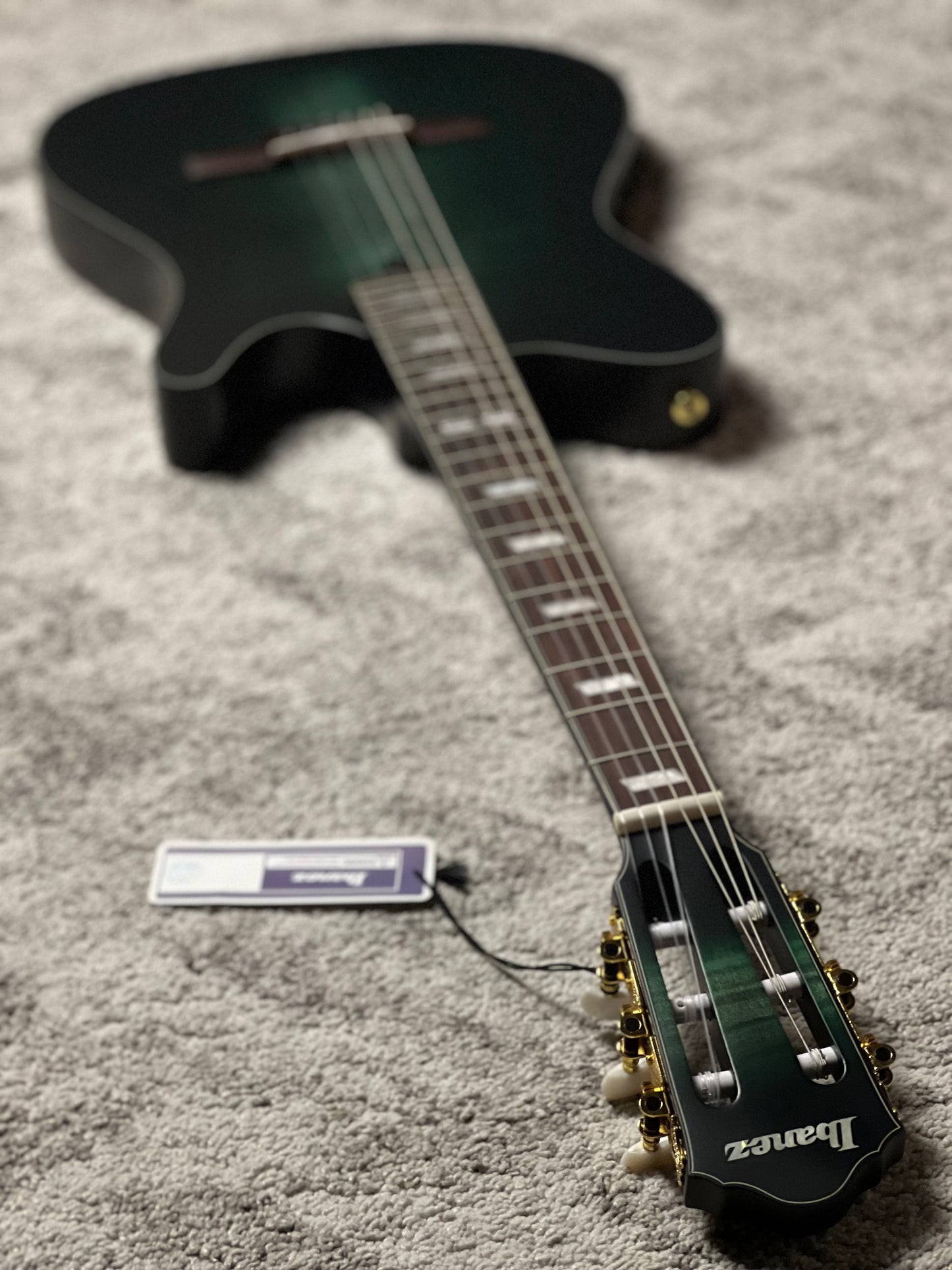 Ibanez FRH20FMN-DGL Acoustic Electric in Deep Emerald Green Low Gloss