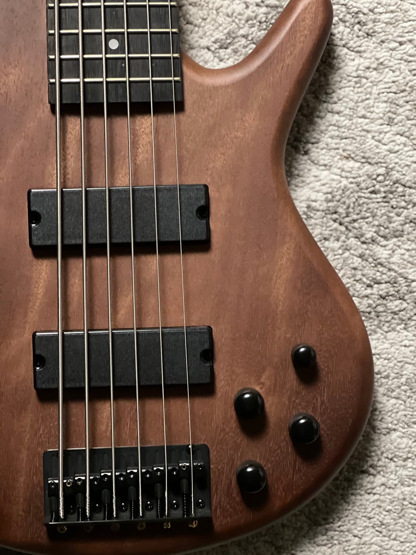 Ibanez GSR206B-WNF 6-String Bass Guitar in Walnut Flat