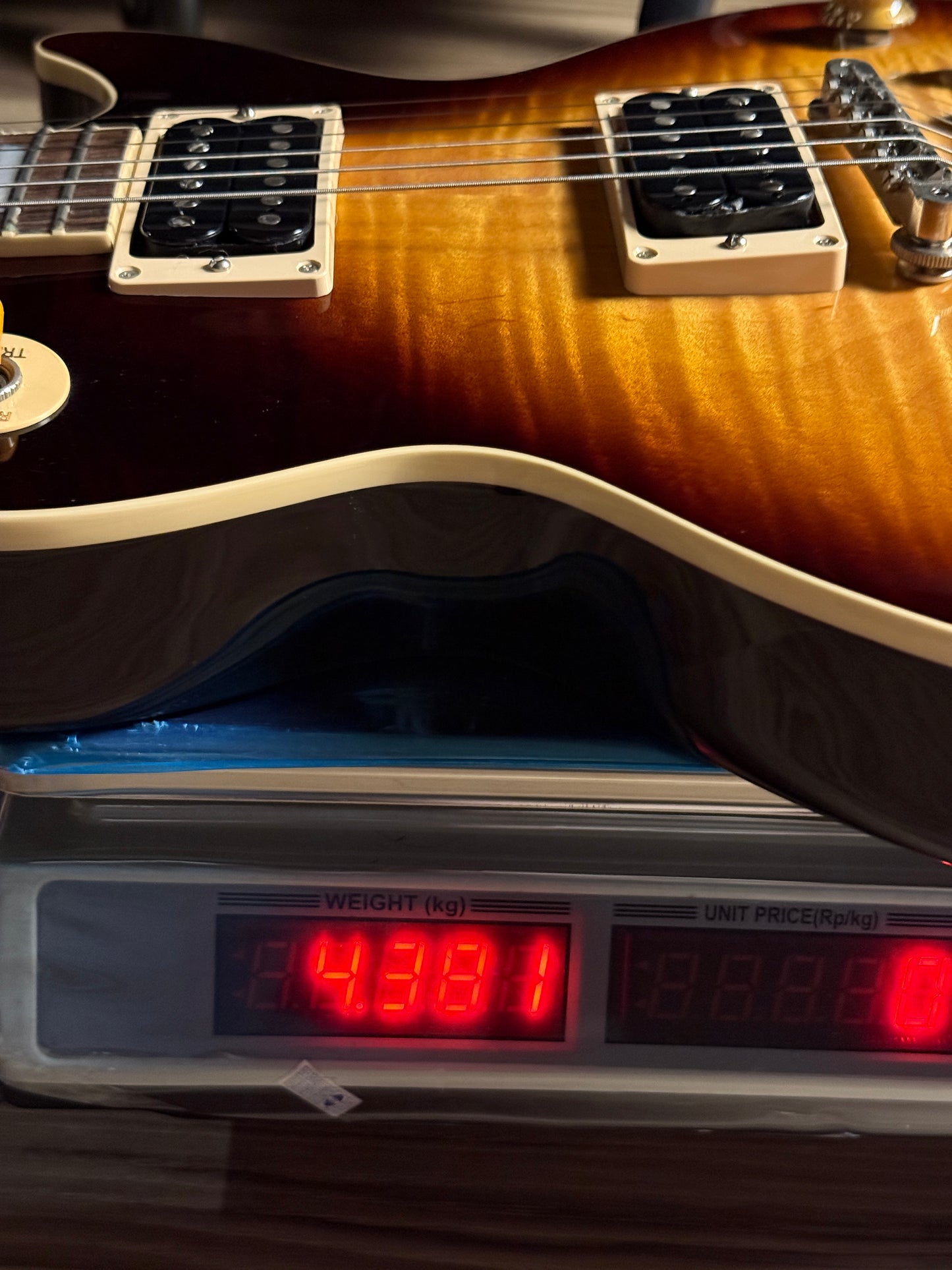 Gibson Slash Les Paul Standard  in November Burst with Case 204830254