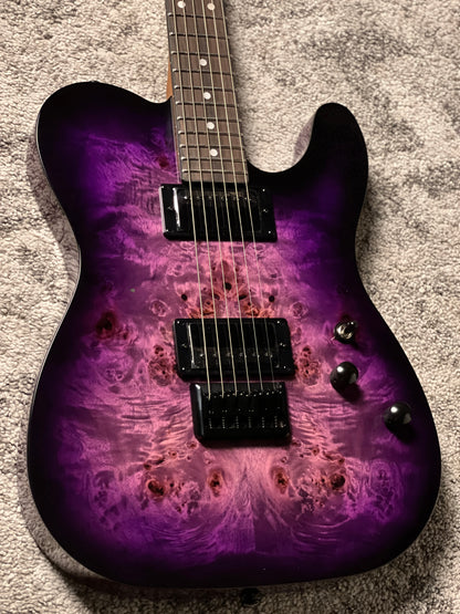 Schecter PT Standard in Black Purple Burst Burl