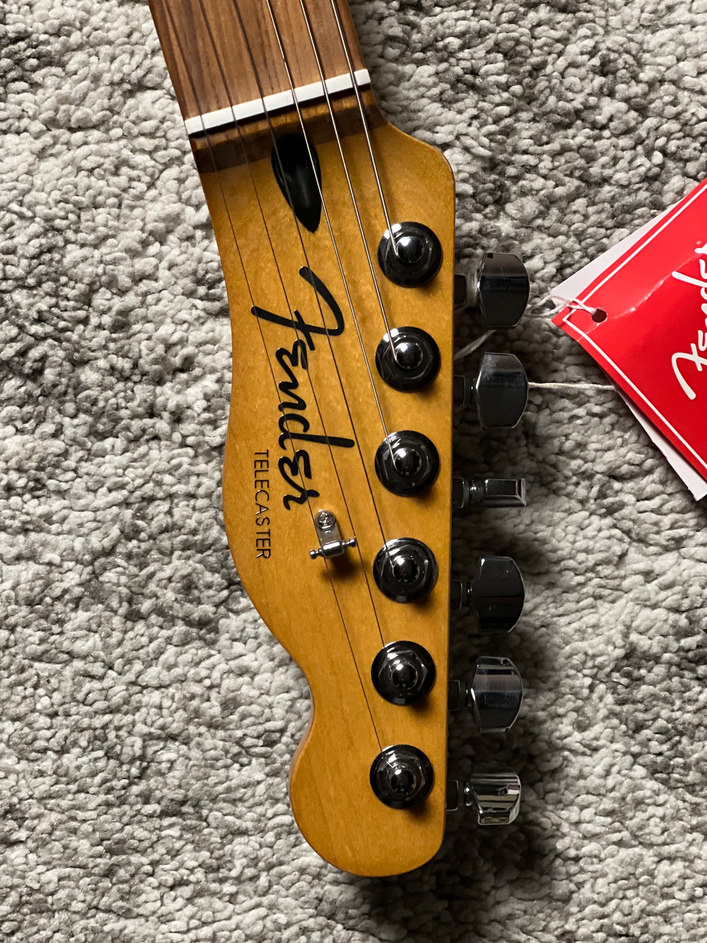 Fender Player Plus Nashville Telecaster with Pau Ferro FB in Sienna Sunburst