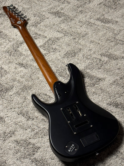 Ibanez BER10 Bernth Signature in Matte Black I250905826 (USED)