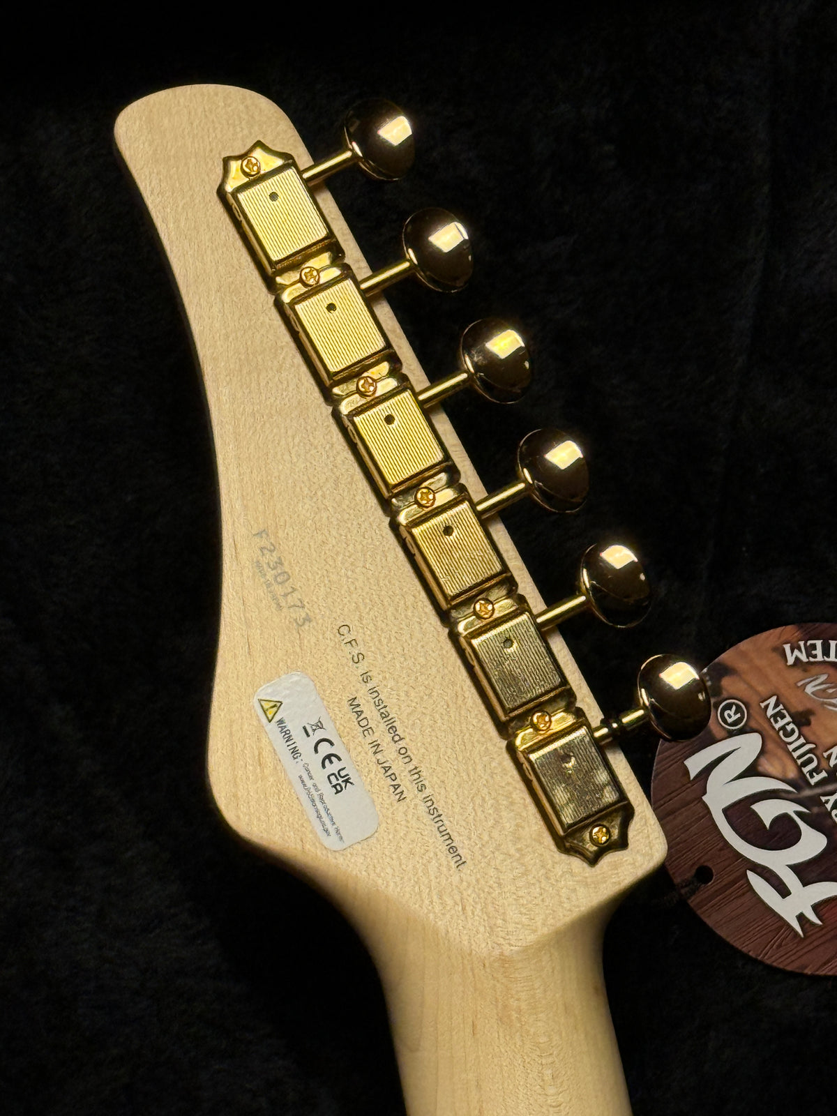 Fujigen FGN Guitars Expert EOS Odyssey in Navy Blue with Hardshell Case F230173