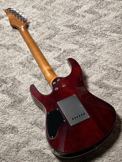 Dhatarattha Custom DST HH in Shattered Mirror with Rosewood FB