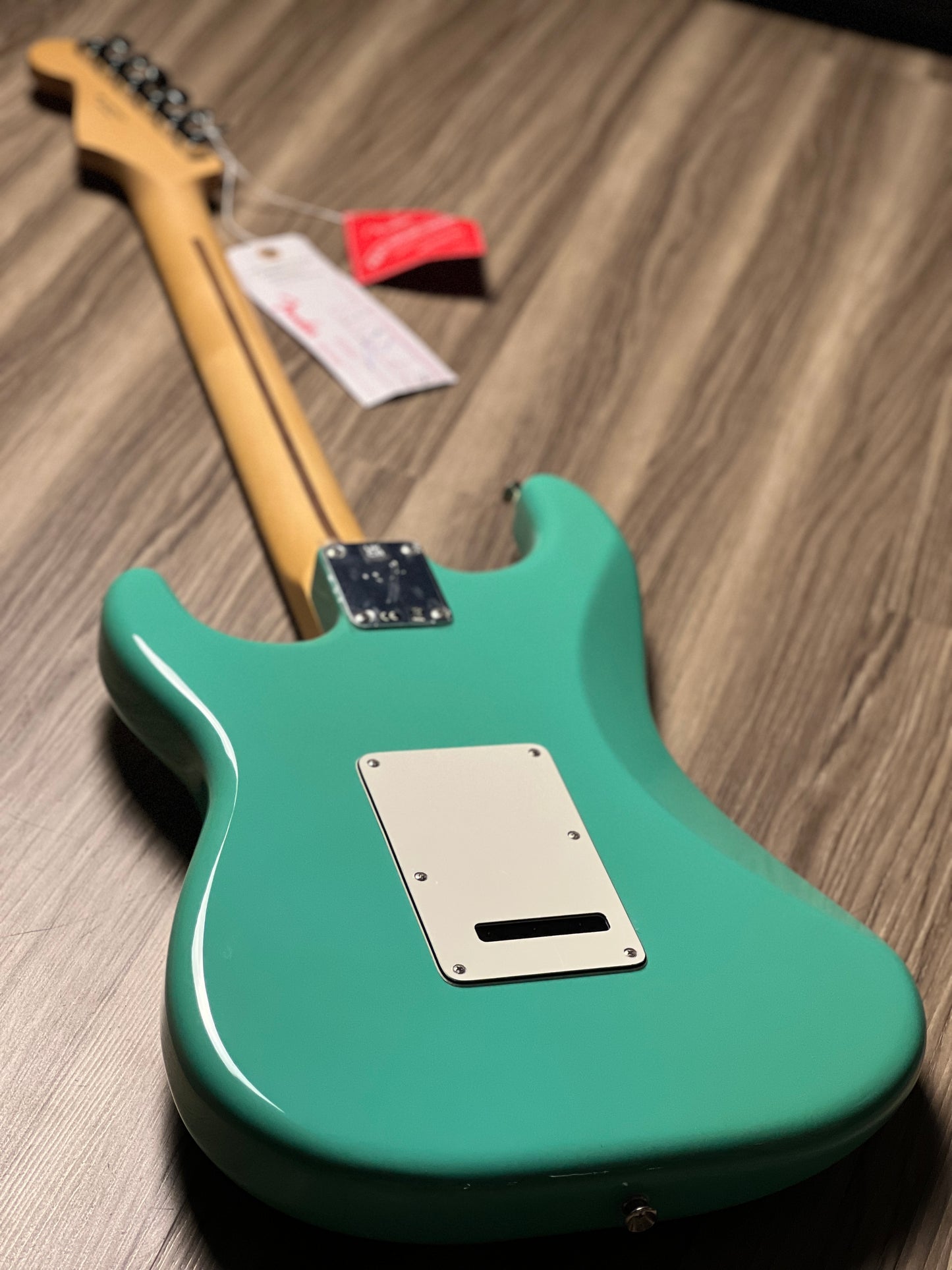 Fender Player Stratocaster and Pau Ferro FB in Sea Foam Green