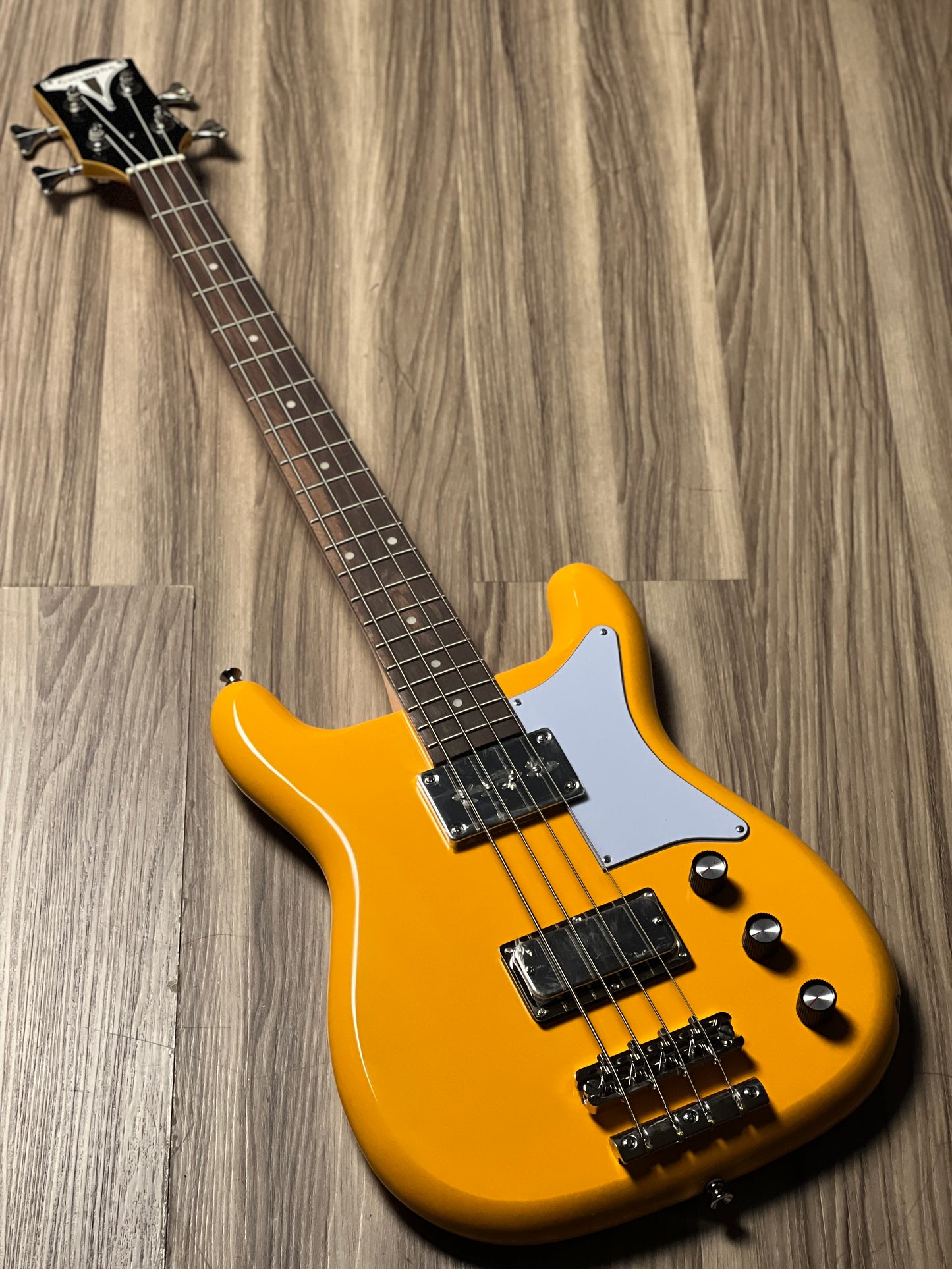 Bass Epiphone Newport in California Coral