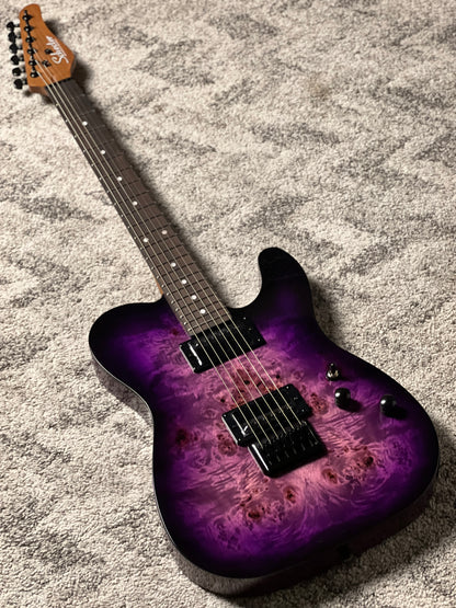 Schecter PT Standard in Black Purple Burst Burl