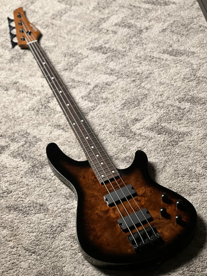 Schecter C-4 Standard Electric Bass in Tobacco Burl