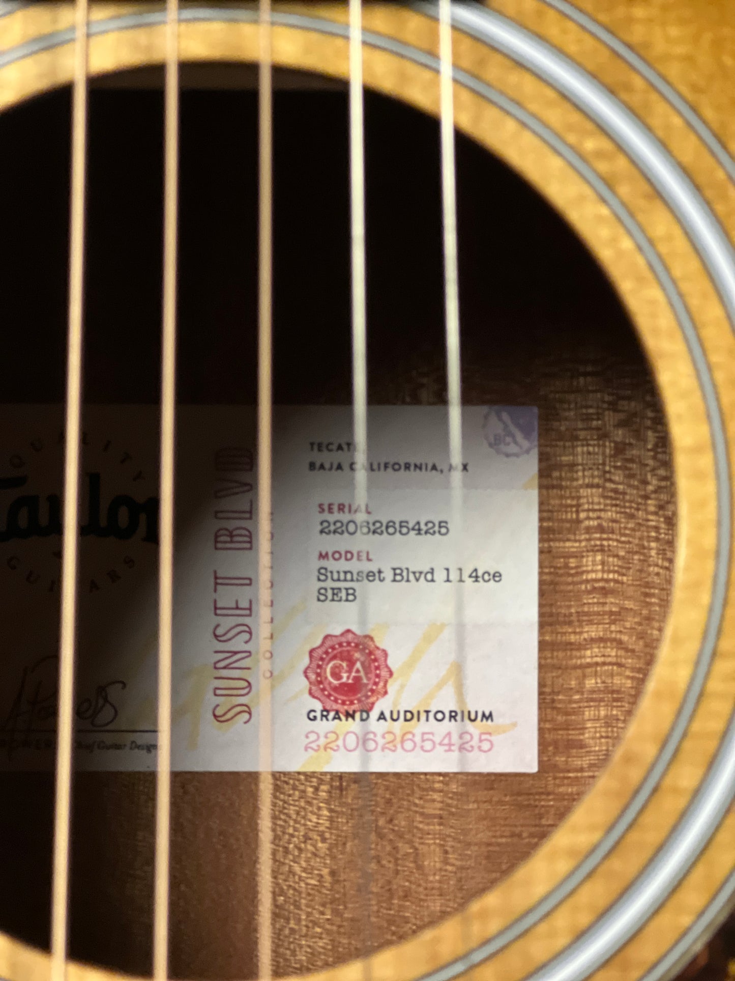 Taylor Sunset Blvd 114ce-S in Shaded Edge Burst Top w/Bag 2206265425