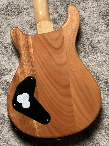 PRS SE Ed Sheeran Hollowbody I Piezo Baritone in Kaleidoscope
