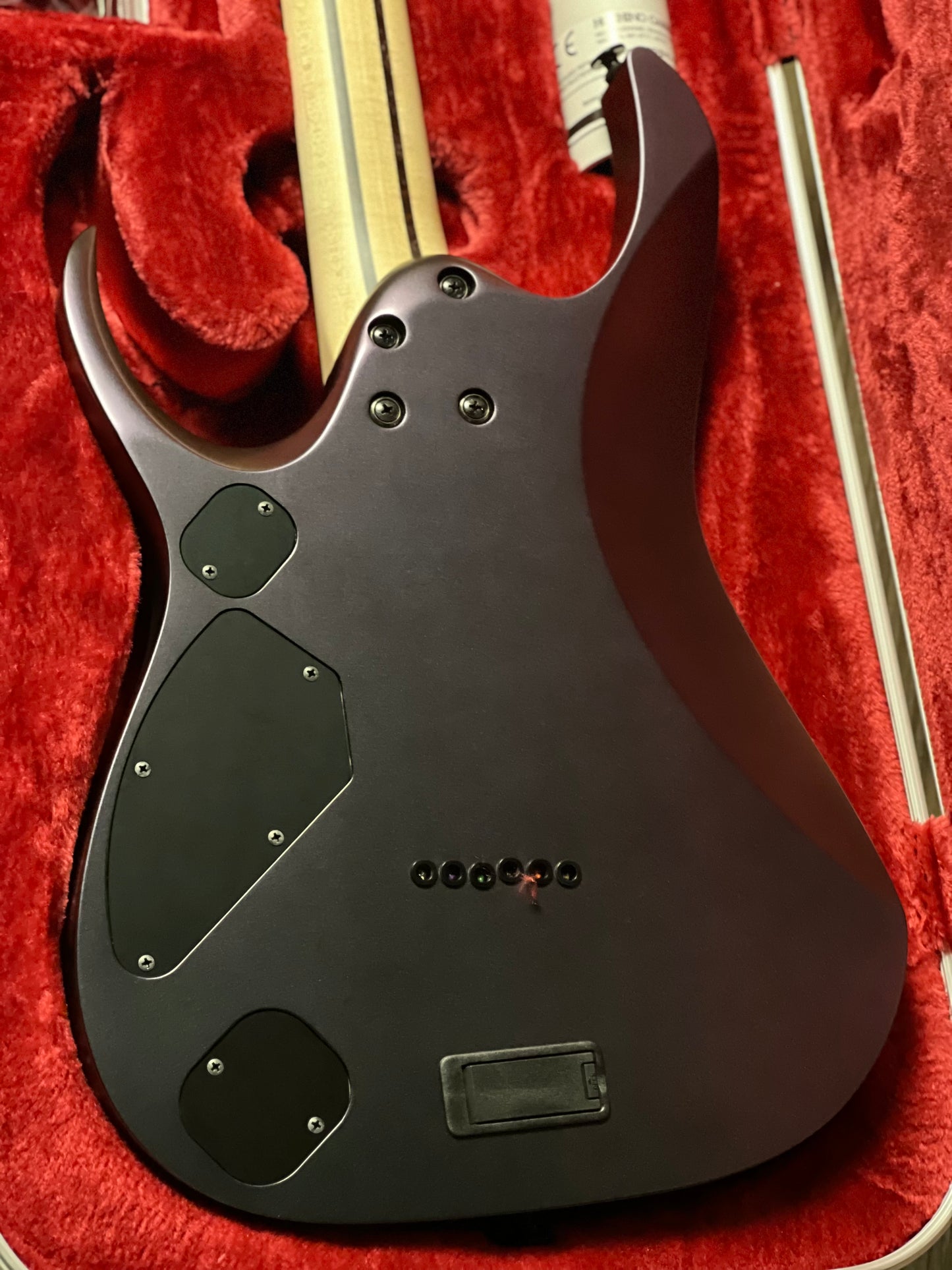 Ibanez RGD3121 w/Case in Polar Lights Flat F2404073