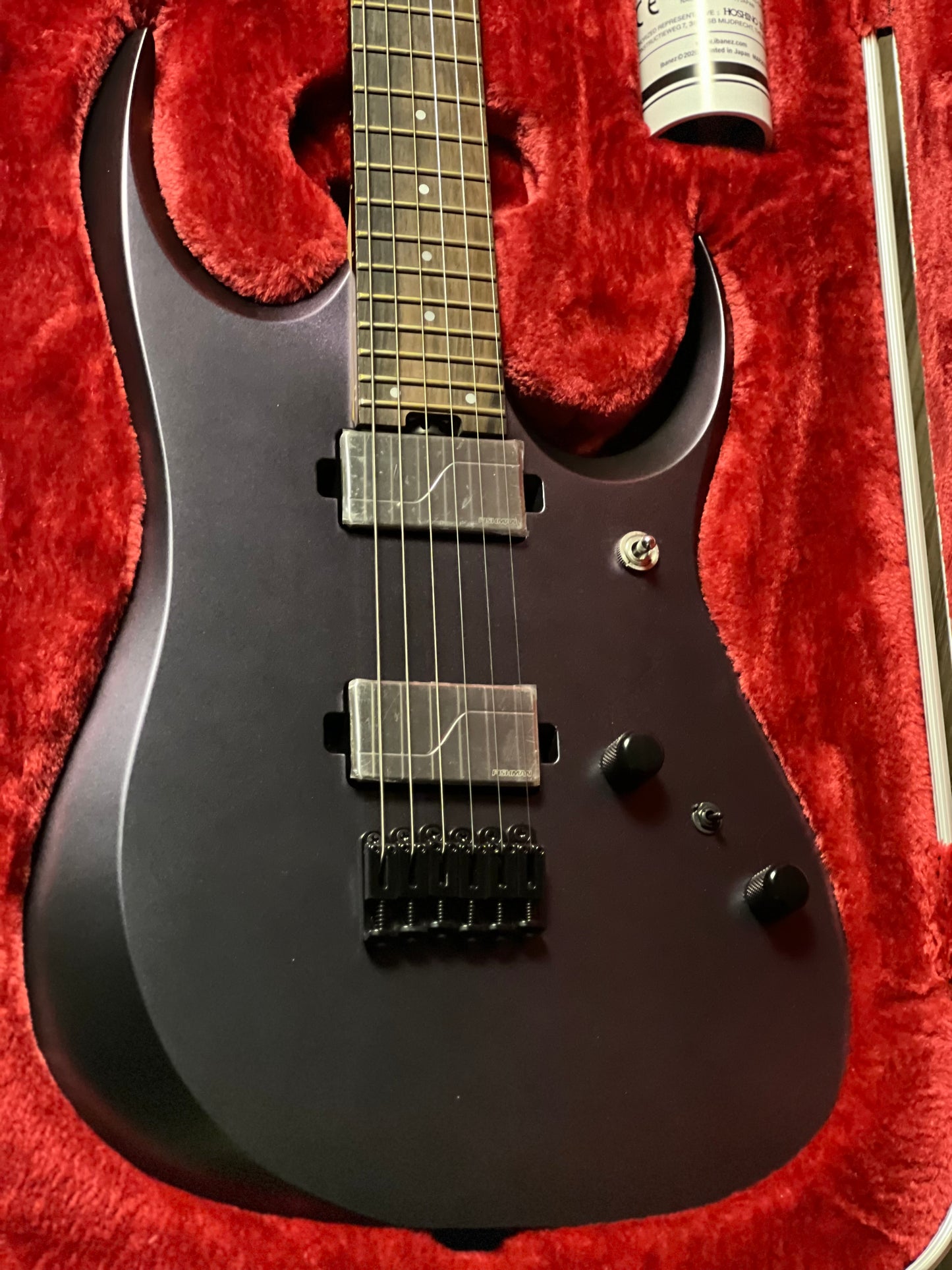 Ibanez RGD3121 w/Case in Polar Lights Flat F2404073