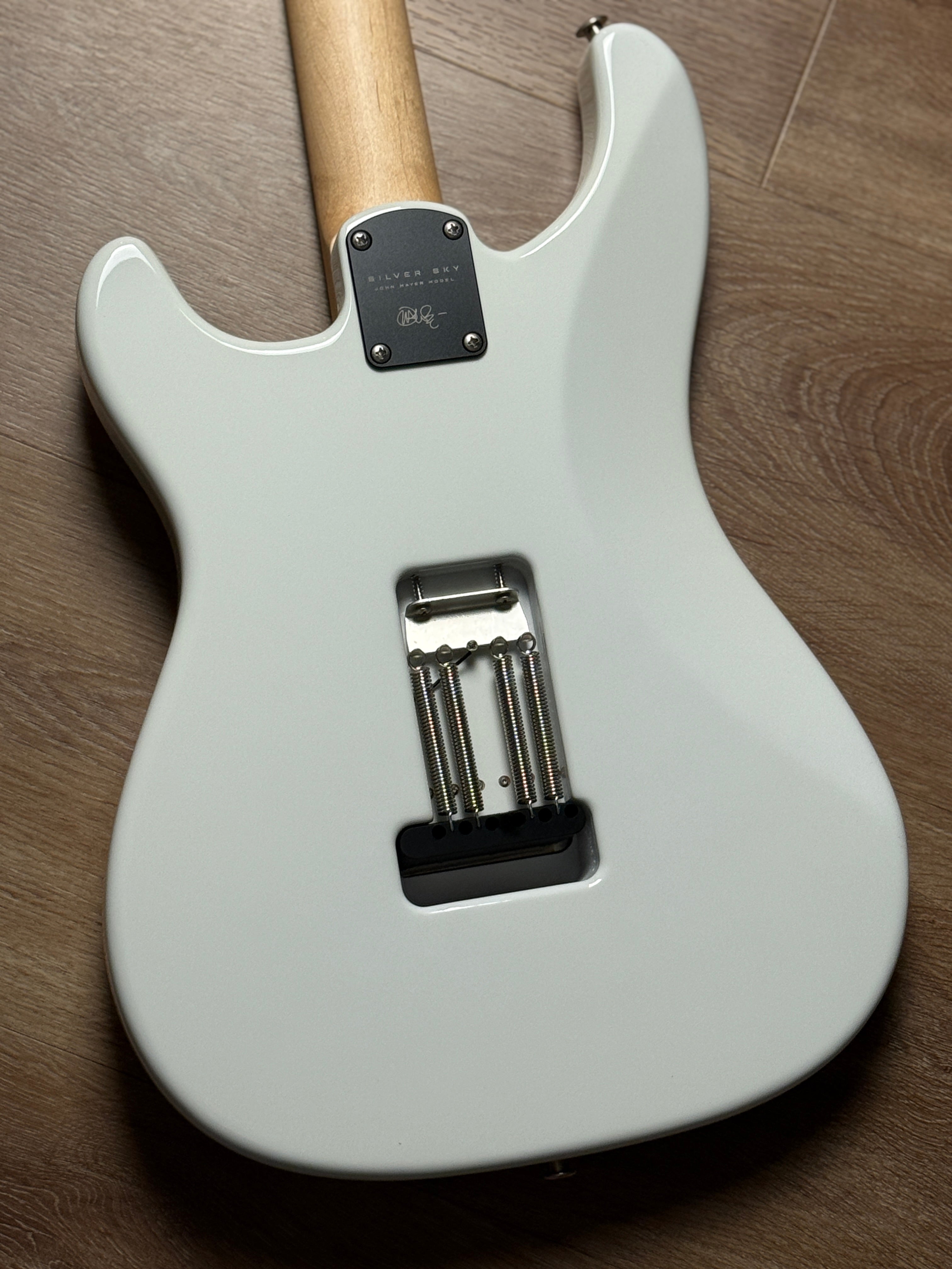 PRS Silver Sky in Frost with Maple Fingerboard 250417121