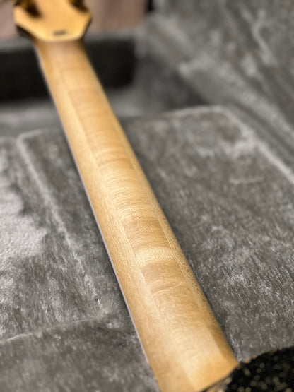 ESP Will Alder Signature Warbird Custom Shop in Distressed E4620231