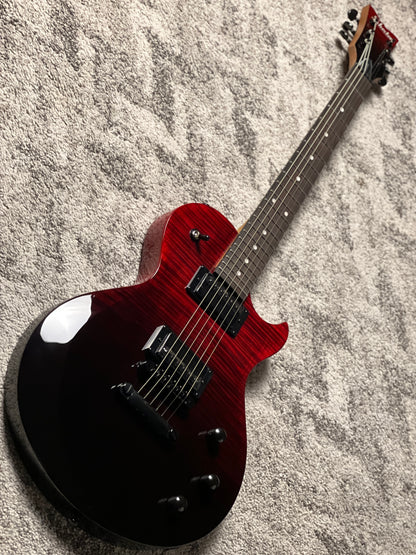 Schecter Solo-II Standard in Blood Burst