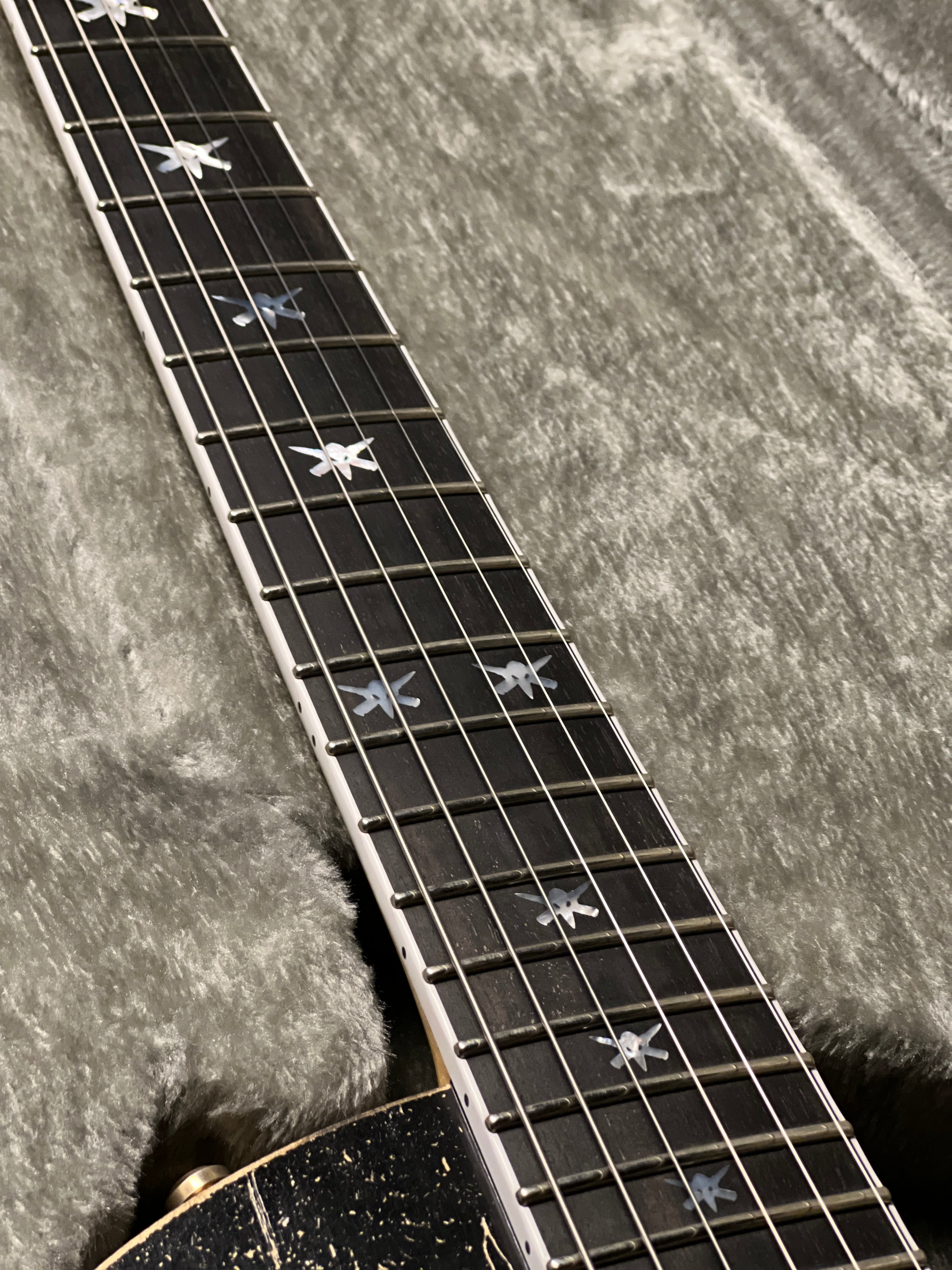 ESP Will Alder Signature Warbird Custom Shop in Distressed