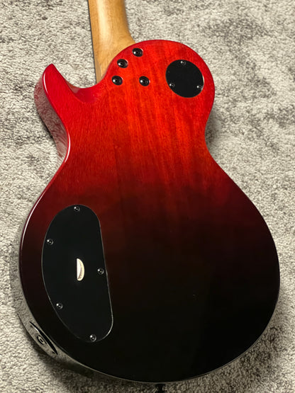 Schecter Solo-II Standard in Blood Burst