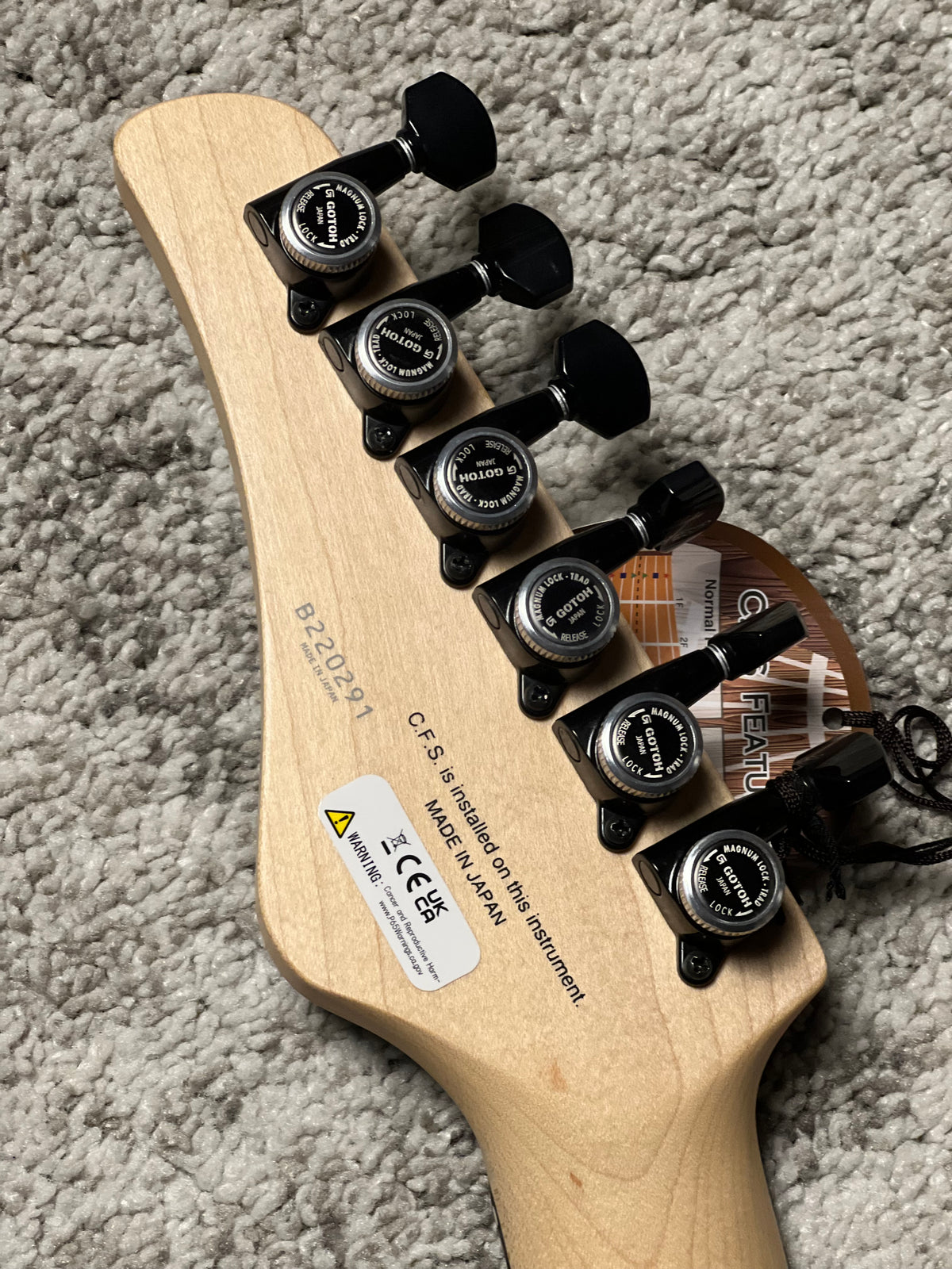 Fujigen FGN Iliad JIL2-ASH-DE664-R/OPB in Open Pore Black B220291