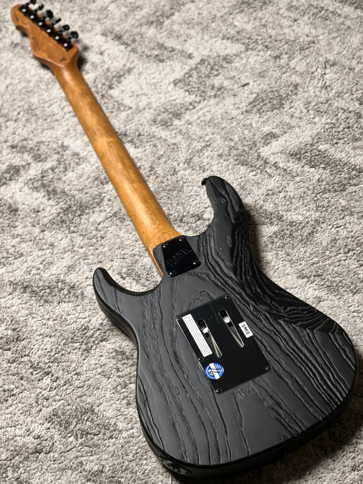 ESP LTD SN-1000 FR in Black Blast IS22110698