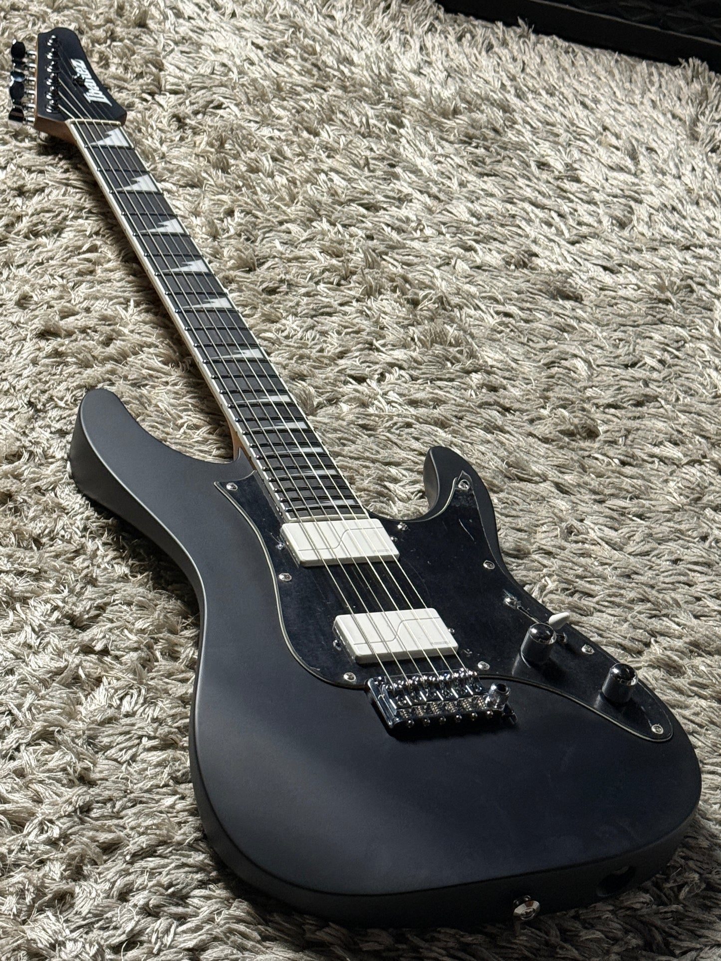 Ibanez BER10 Bernth Signature in Matte Black I260410603 (USED)