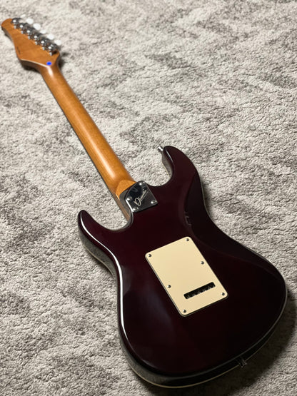 Dhatarattha Custom DST HSS in Exotic Spalted Maple with Rosewood FB