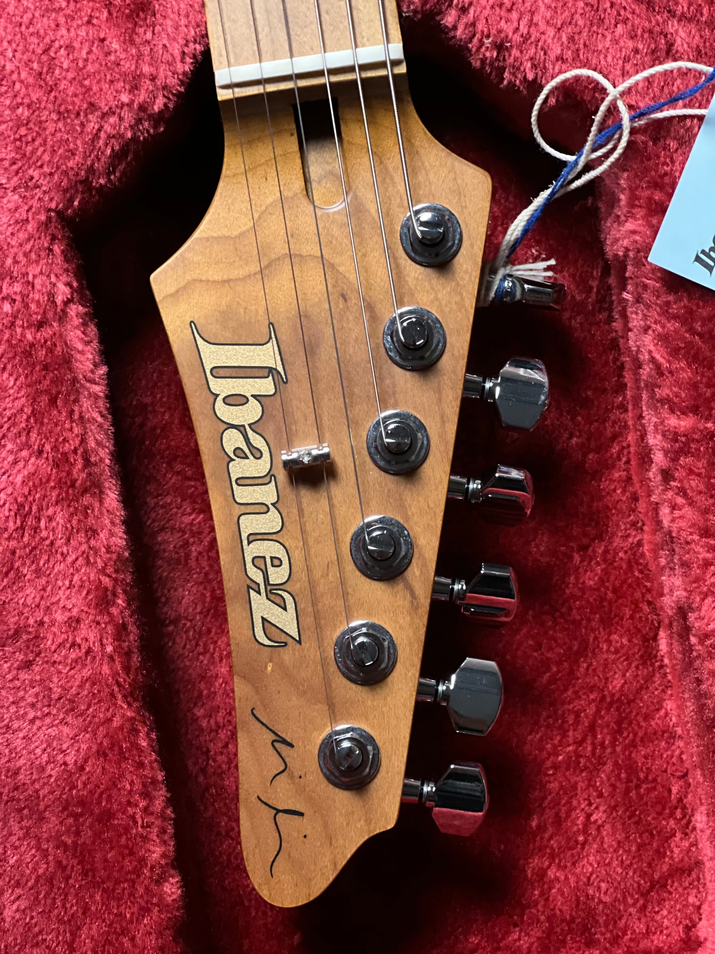 Ibanez Martin Miller Signature MM1 - Transparent Aqua Burst