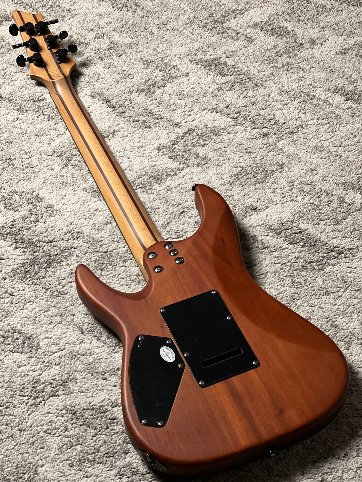 Schecter C-1 Exotic - Natural Satin IW19120574